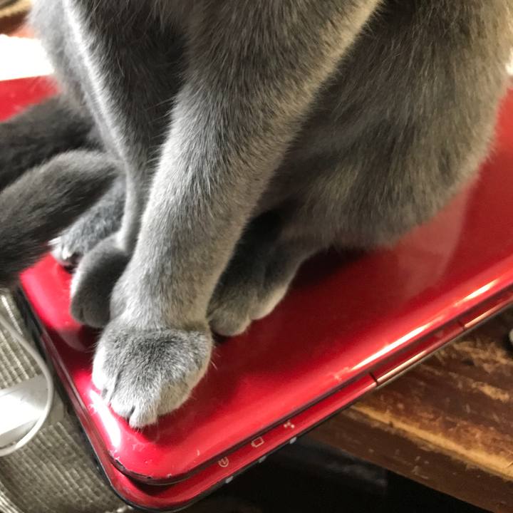 696e7501 d3ea 426f 9e59 c7691b89ca22 1520757966884