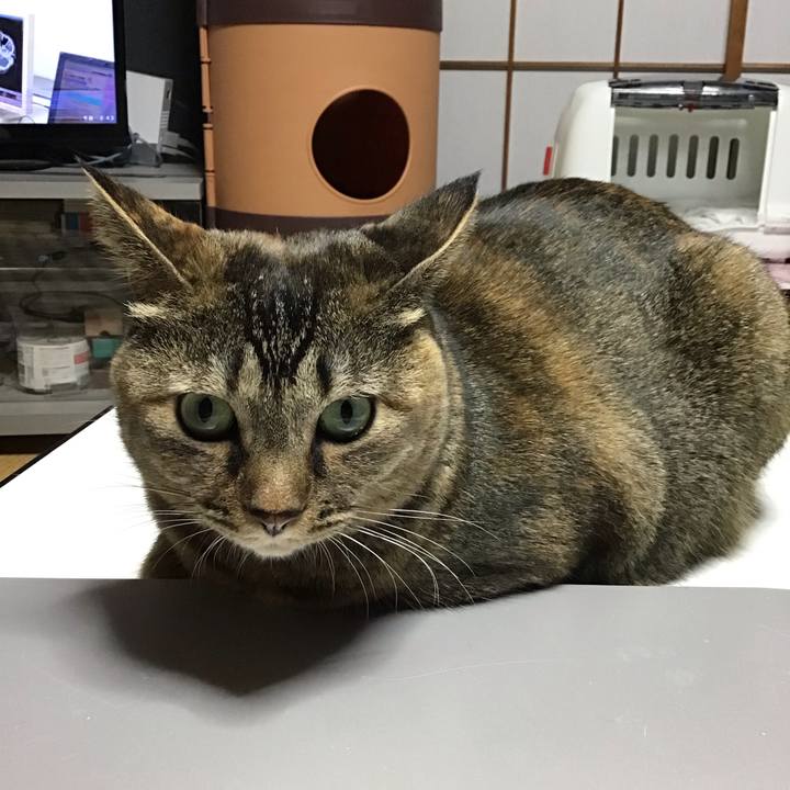 696e759e b8b9 4d98 9702 e49d4c99e623 1669637876852