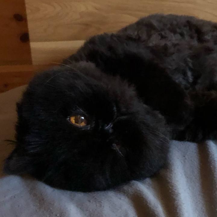 696e788b 75a6 4ce6 bcb7 bb19ee616589 1654909822756