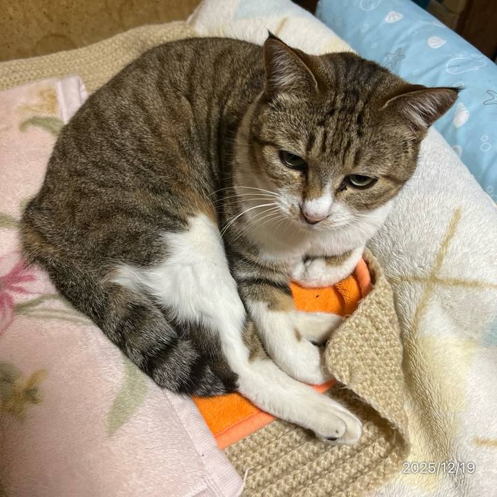 696e8d4b afa3 4689 89fb 02aade287a1f 1766095454827