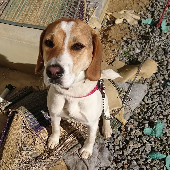 696e9bf9 13bd 47da 89d8 8a60c1376e66 1600948507284