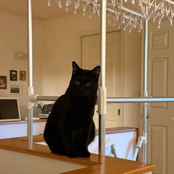 696eb4c5 9ee6 4cfa 93f6 92f80fe53b8e 1774690026283