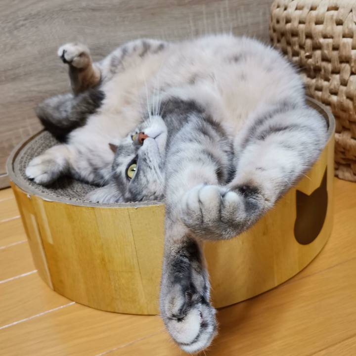 696ecb31 8ee7 4f8b aa85 34f39be98129 1603079864512