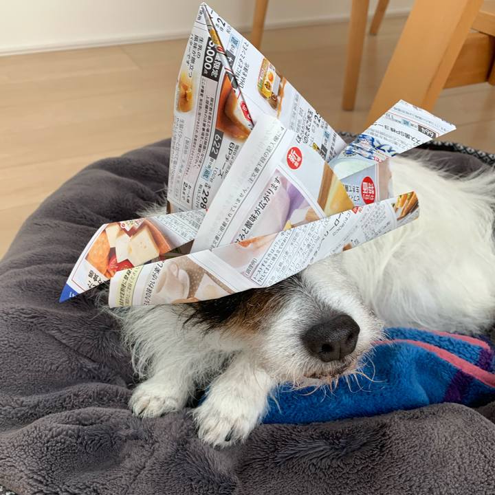 696edade 5156 45fb bfb2 eef3382b96d3 1714865062735