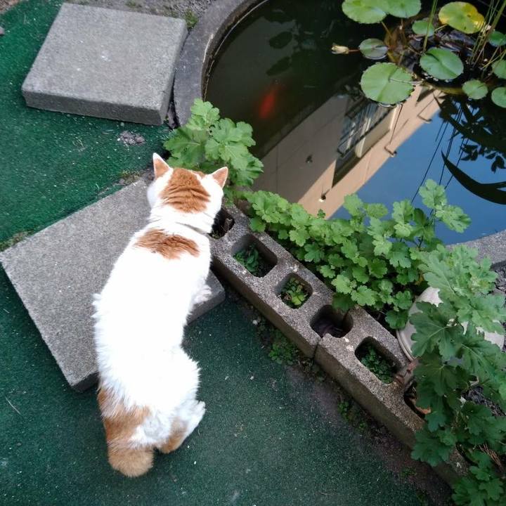 696f095f bf3d 4c9f 8212 8f374df16bee 1596361334545