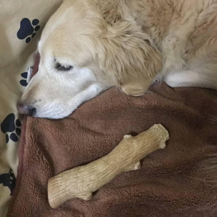 696f0b63 65b9 4f55 a0bd c4d2ec15e8dd 1552391628737