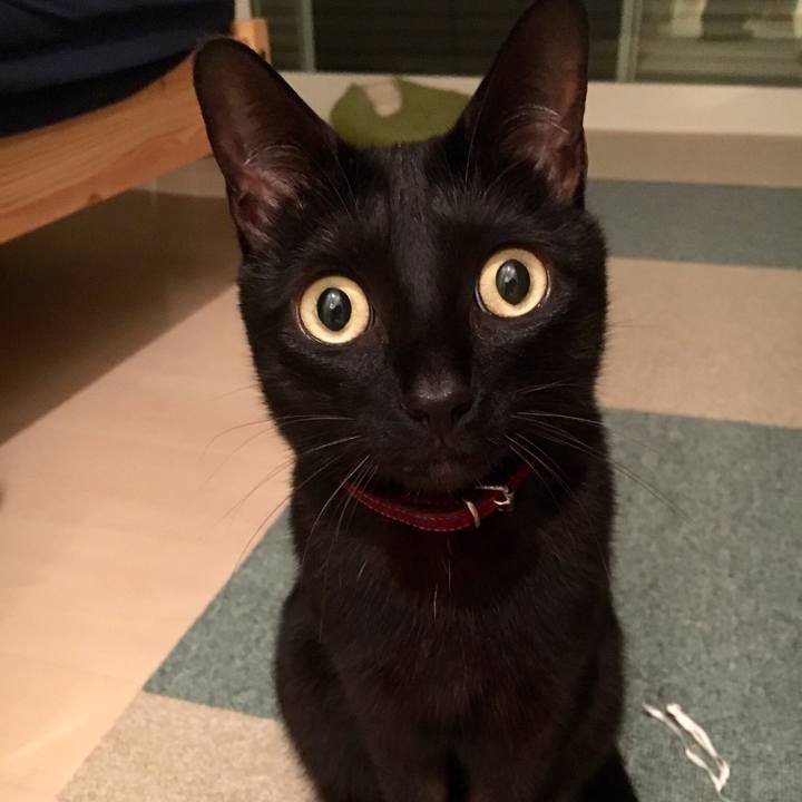 696f0f47 d868 4e7e be53 a9f9b1446674 1528295259170