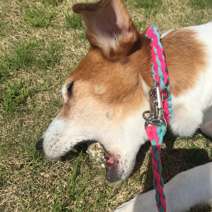 696f121b b155 463c b164 dfefdb8972b8 1523188285549