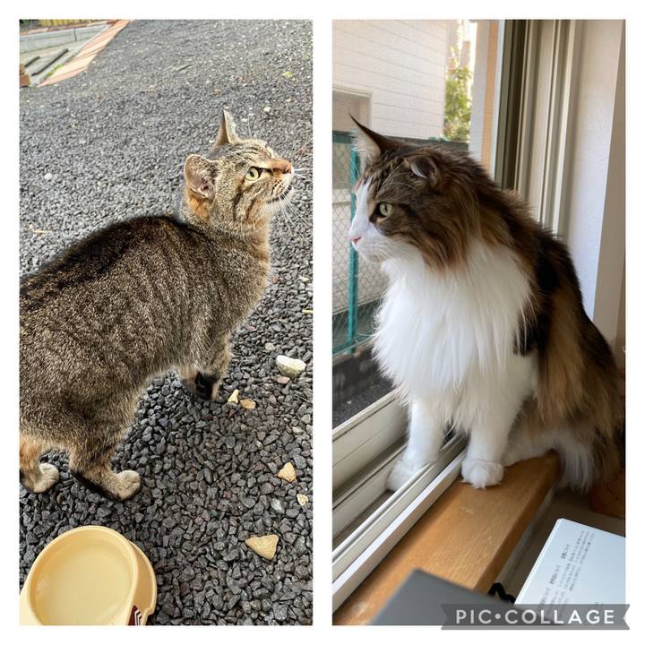 696fcc09 1406 4082 af04 730913ec965a 1682976438509