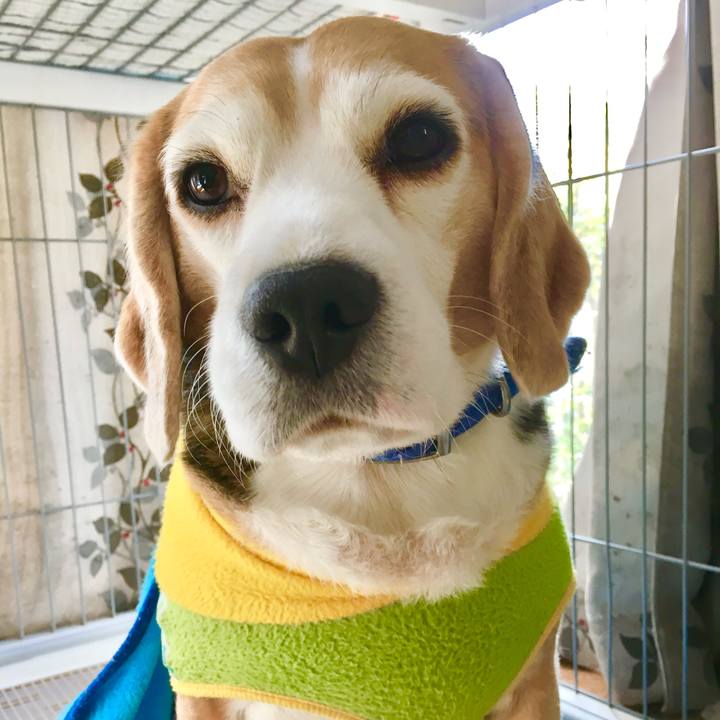 69701271 dc18 4d81 8e3a 562ae173ace1 1769848569479