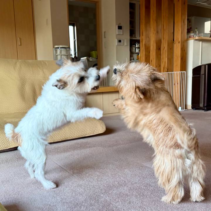 697012d2 3b0f 4b04 bdcb 6706dd046a05 1763995425977