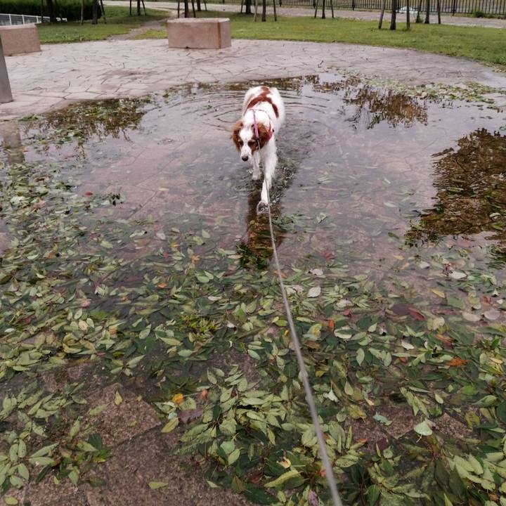 69702c1e 3776 452c bd4f bc0ab23bad84 1602322226937