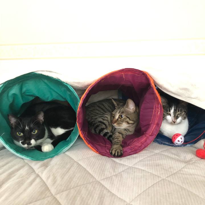 69704427 4309 463d 90cd 07db3cf24a95 1591070610841