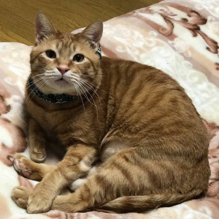 6970552e 1e77 4346 ab2d 2f7b5ac8e462 1561248978828