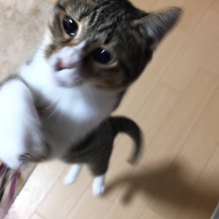 69706e2f eddf 42f4 b377 0413d4002592 1540739562607