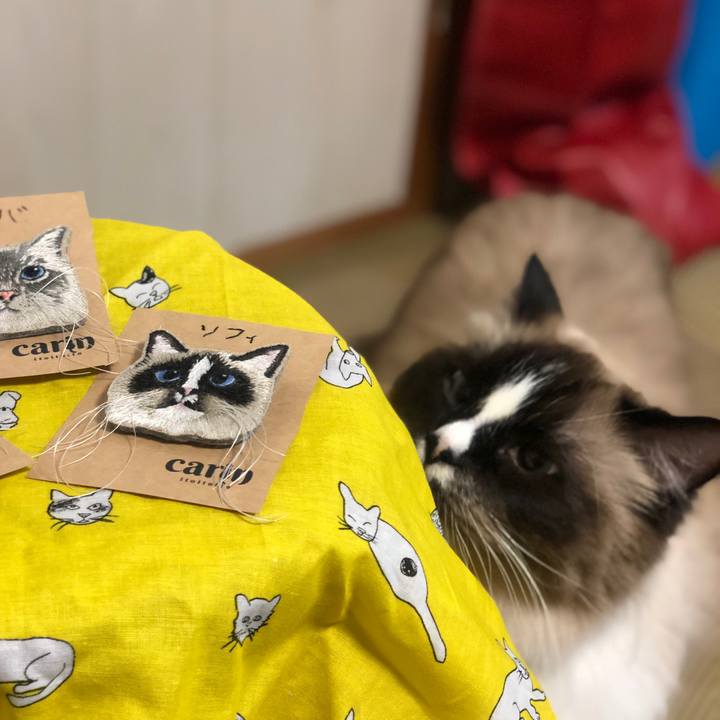 6970750c c988 445f 96b0 581715e8eb16 1548937407478