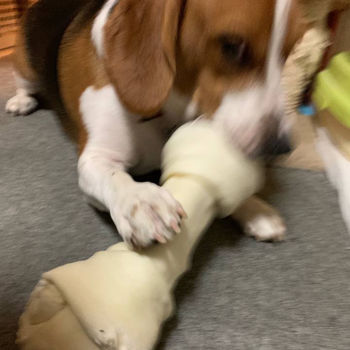 6970957c a91b 4bb1 bee7 10fe88225a64 1542847704050