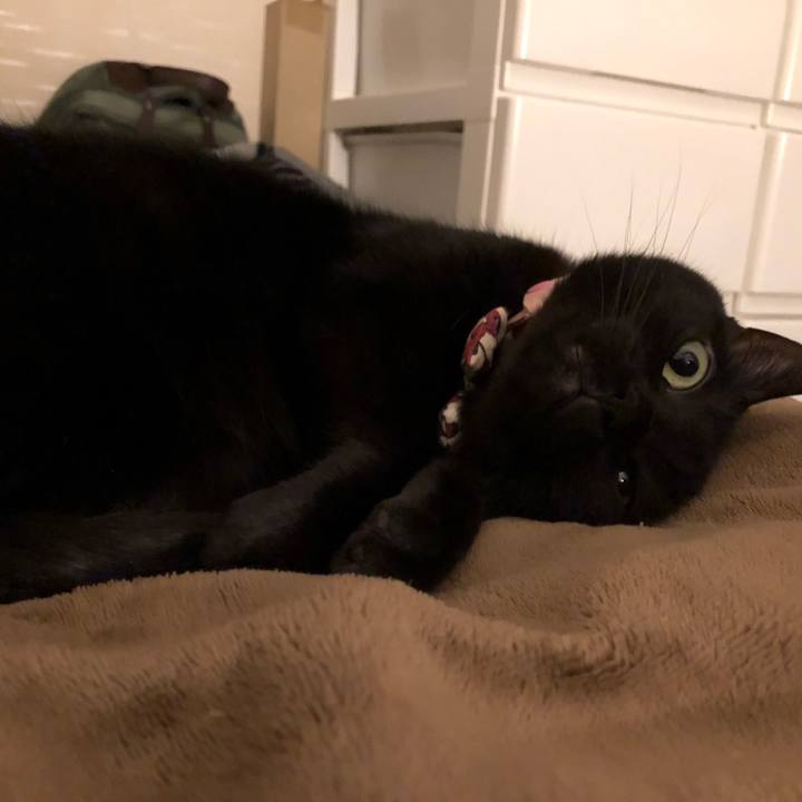 697096b9 bd1d 41f9 9685 3334675adc6b 1579172031332