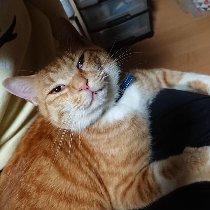 6970b1b6 3a66 4243 96cb 549f3b40ab06 1603488161883