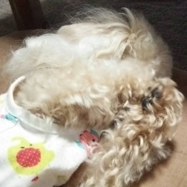 6970c018 9ab3 4896 ad95 e84c7891207f 1535201684045