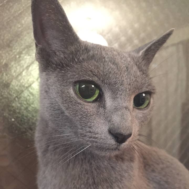 6970cac3 6c89 4abc 8d72 ce7e54135bad 1516623712079