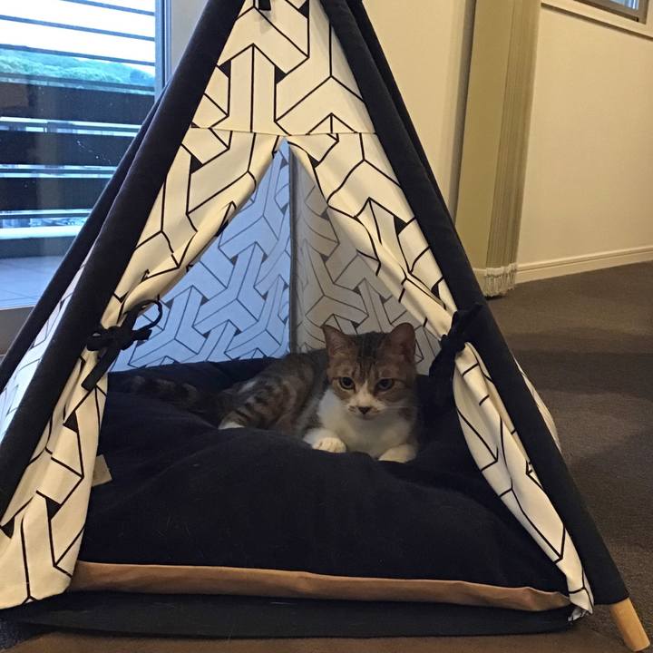 6970ce24 199f 4610 b92f 04a2a2ac909c 1590923522960