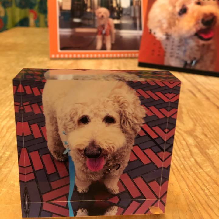 69710f07 e3a0 459c a939 e84fe12c2f8d 1615244039127