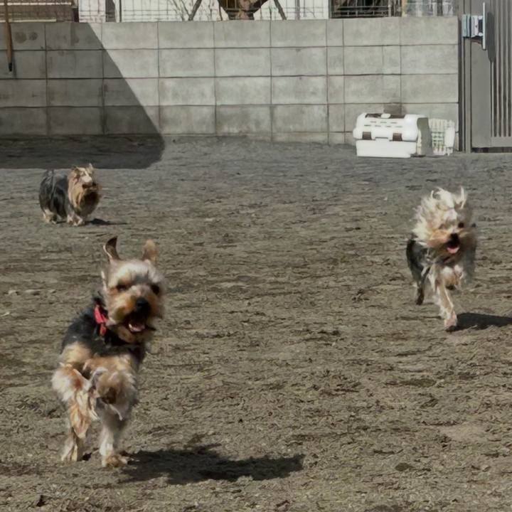 6971be6d d6b8 4be8 8cb9 4a075d0f3683 1772348298344