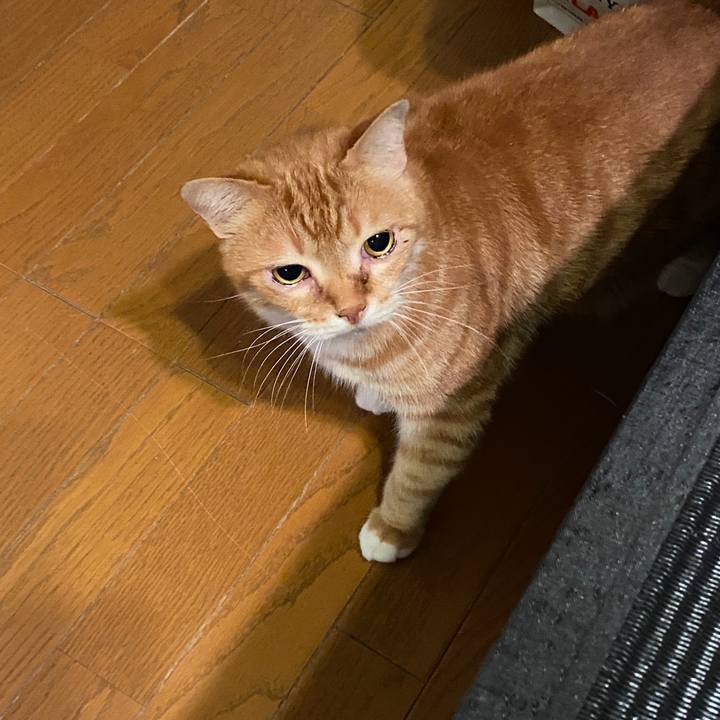 6972187e 6554 4adc 9600 0e80b22b97af 1585751809846