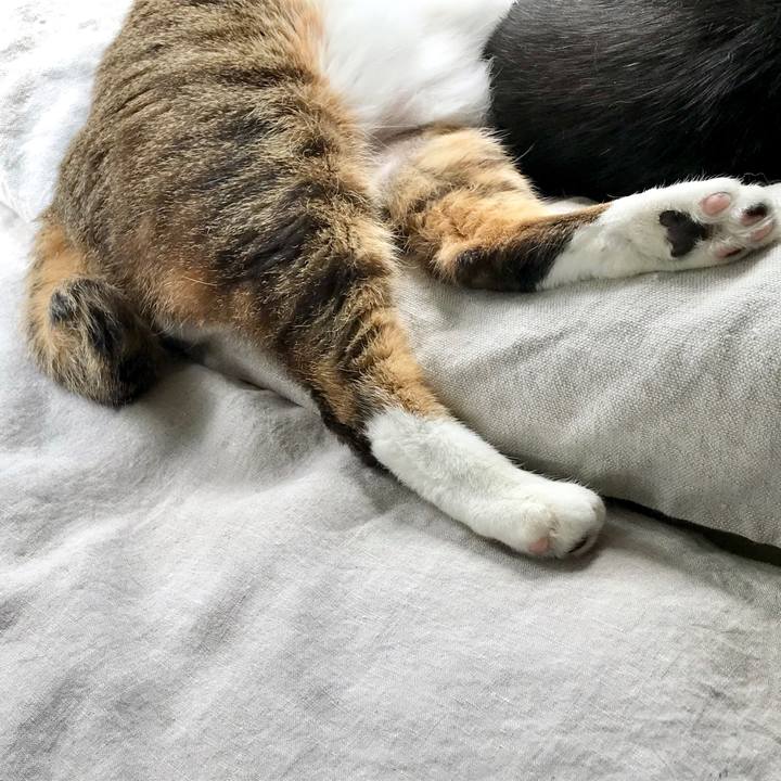 69723040 29cd 47b1 aeee 3497fa412a4c 1555826050753