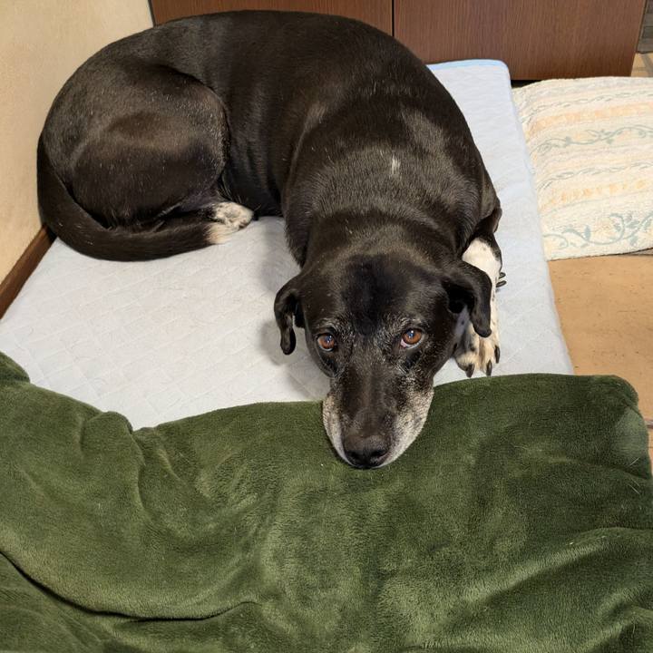 69724042 8ced 4745 a750 3372089f651d 1757031151533