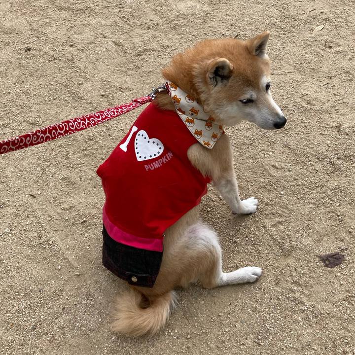 697279a6 5bcb 4776 bc99 5d36f8a4a2b6 1638018095533