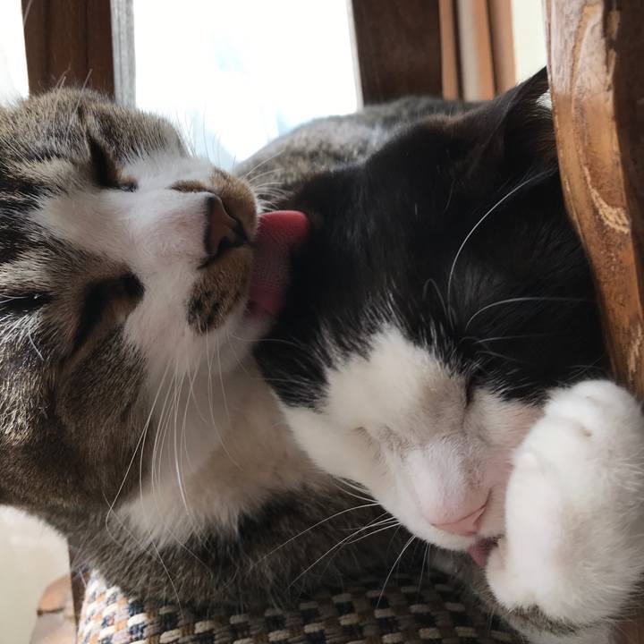 697284c6 181c 4568 8bb8 1d735a3d5b24 1520931143219