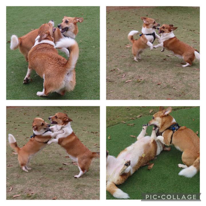 69728675 ce18 452d 9460 eff4e2857893 1636426810394