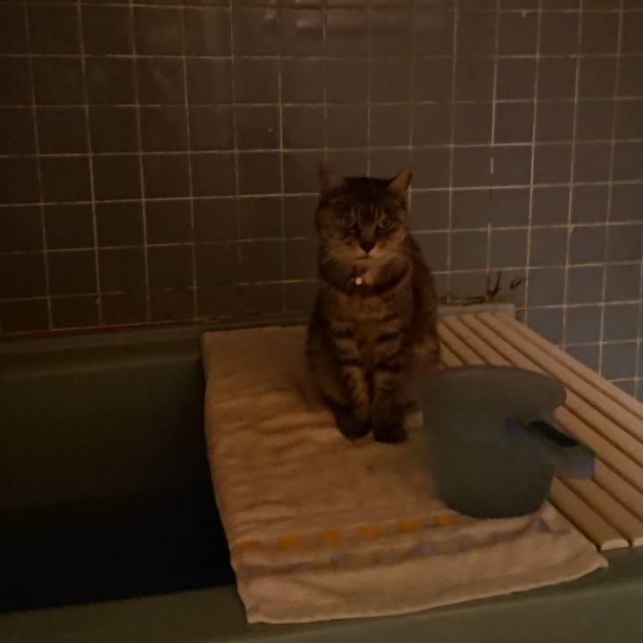 6972883a d9e9 4f39 bc93 e8f074e15cf3 1572945496311