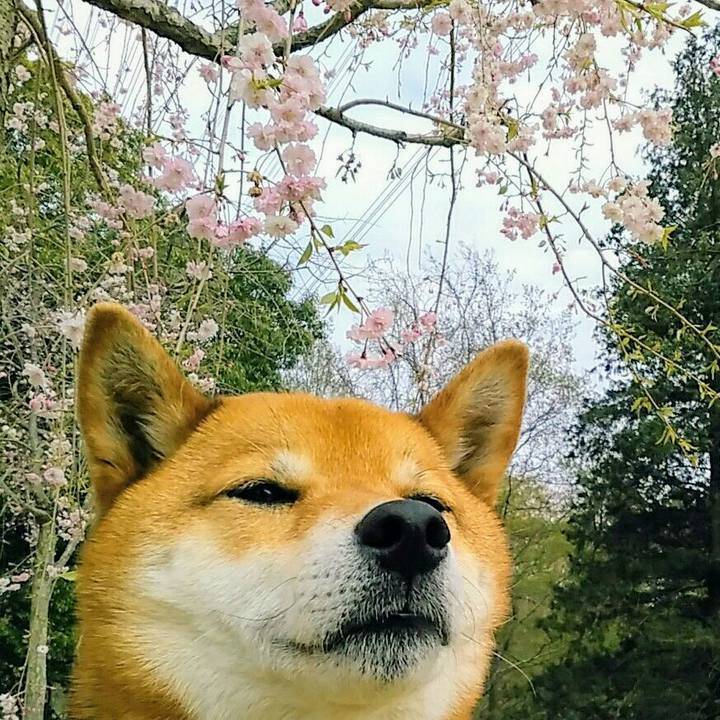 69728e3c 260e 46f0 a3f8 78bcc77b17e1 1554702912934