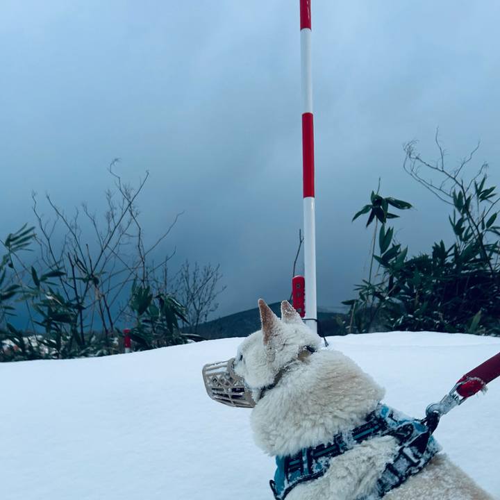 6972a3c8 9b11 4099 ae57 ada51c183290 1735770646364