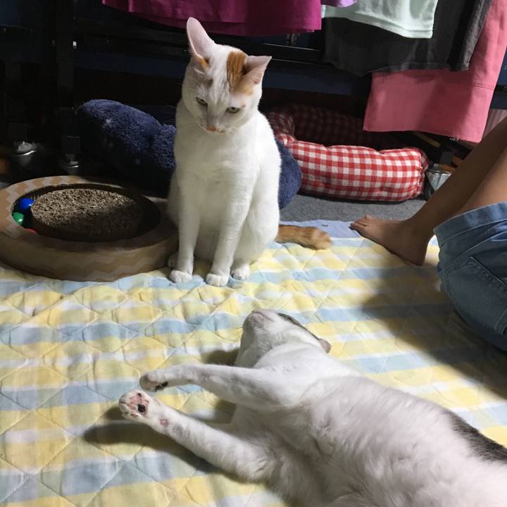 6972bfd5 6117 4dc2 9606 7e42426af826 1536150354437