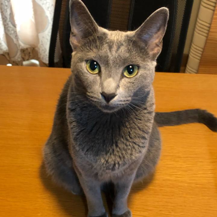 6972cf33 b102 4314 8bb1 bcb121e27a09 1565146813357