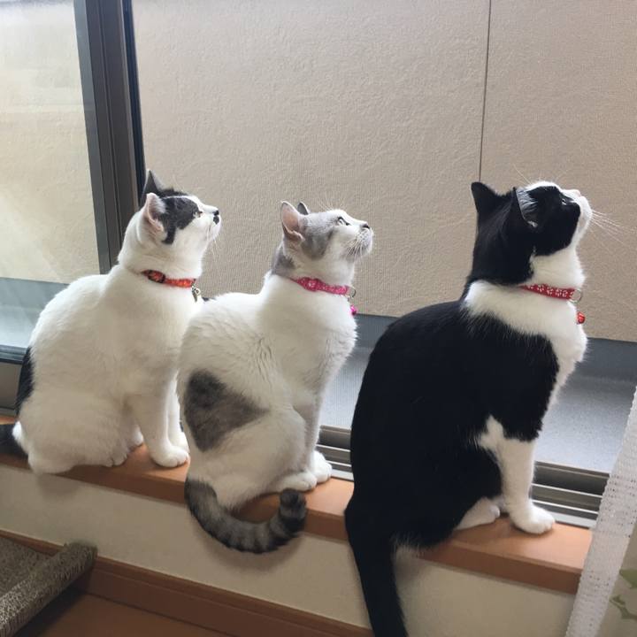 6972d056 daff 49f2 b871 4f6a129587e5 1564301758417