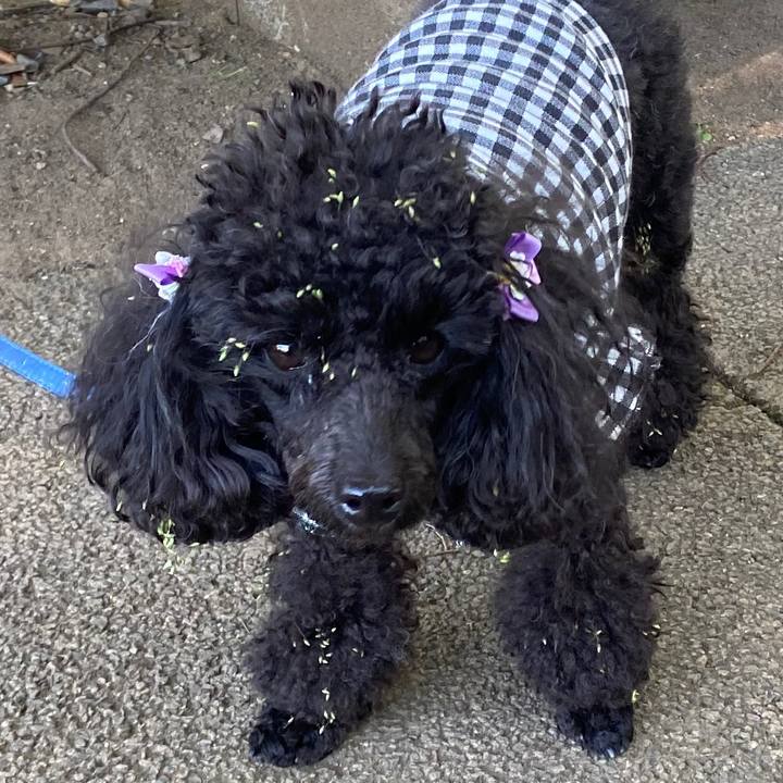 697304a6 d18e 4d5d a161 2ddfd4bb4667 1603944256114