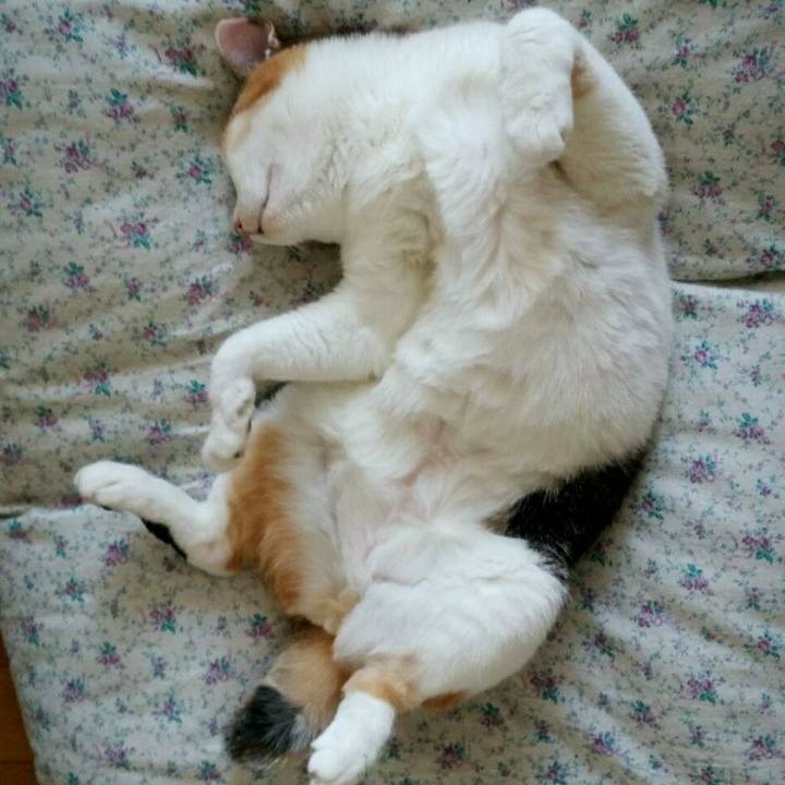 69735947 2221 4d28 bc0f 9dac381f0a08 1515502532279