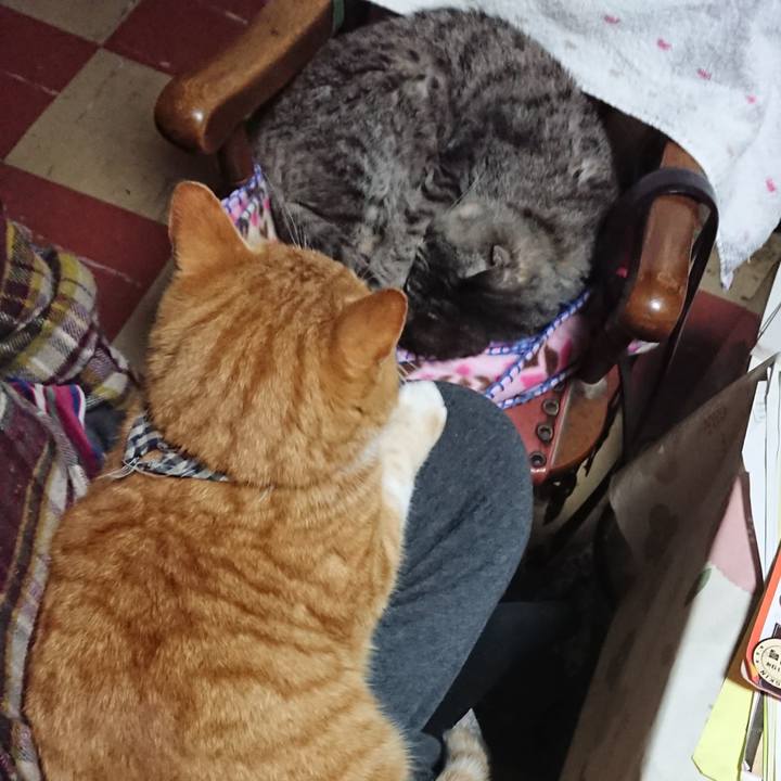 69736451 2565 4a70 93bb 3106db80c1ab 1575762754079