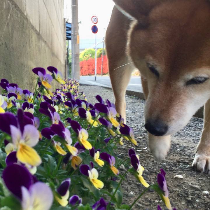 69737bc4 6503 46a7 a764 b1b3732033df 1588325523879