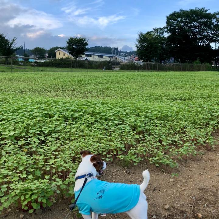 69737d5a 2e4d 4b53 91c1 a2fc6e89cce4 1597746855136