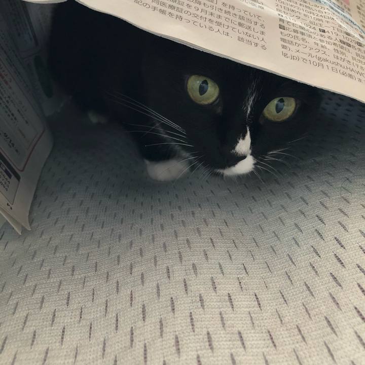 697383f3 67ab 4ddb 9853 0f640d79c0ee 1535577536208