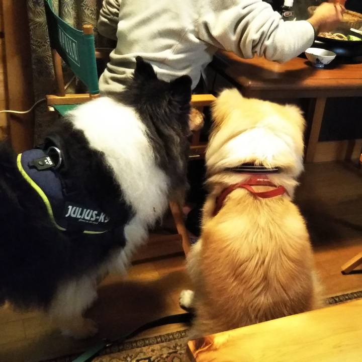 697388eb a1c6 4fca ab34 259d25678244 1606050988807