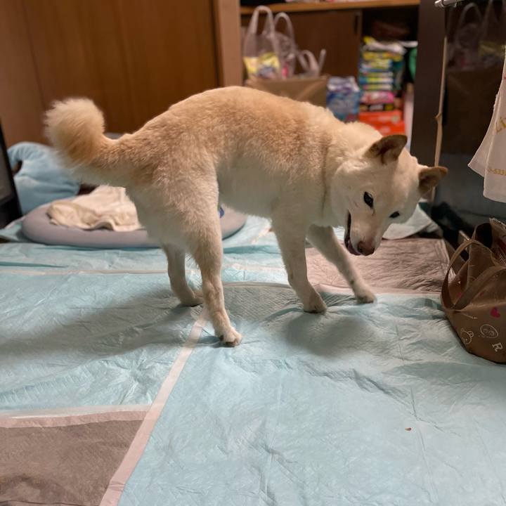 6973bedb 146b 4a5a 8733 8ba40fc87941 1647087237436