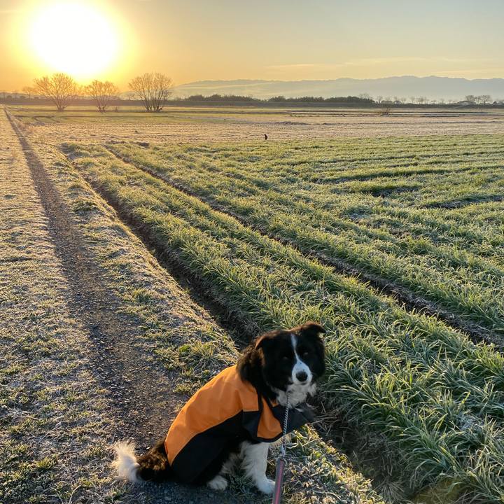 6973def2 74fd 41e1 b0d8 fbd91ab58a79 1612911641471