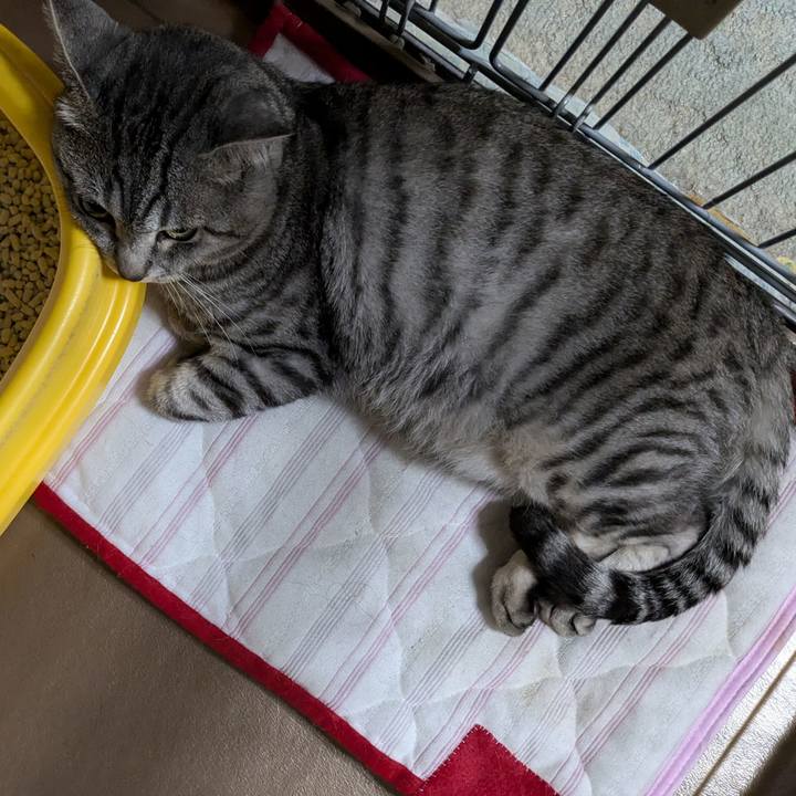 697405c9 8c97 4864 a2f9 cae535414717 1723934623110